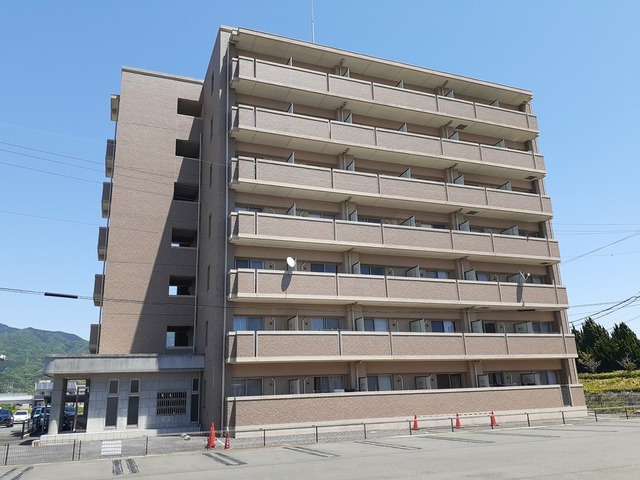 254画像